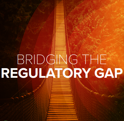 SRPInsight issue 6: bridging the regulatory gap